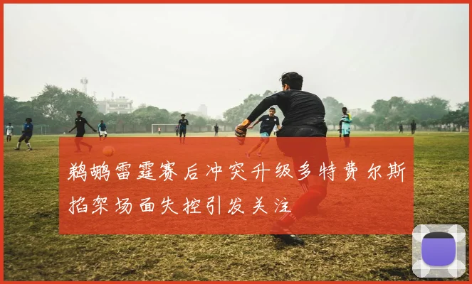 鹈鹕雷霆赛后冲突升级多特费尔斯掐架场面失控引发关注